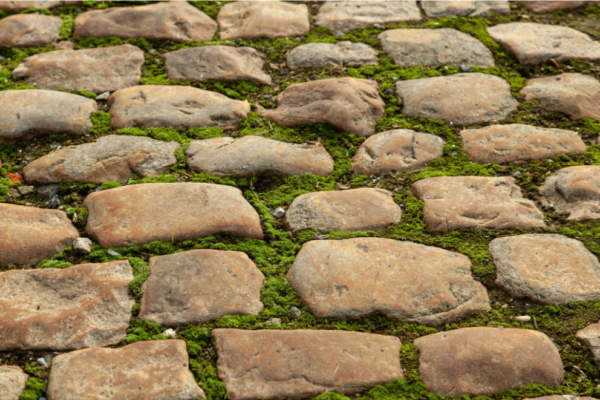 2026 09 08 10h43 39 Плочкопътека изградена с естетствен камън и тревна фуга. Източник на изображение е Magnefic