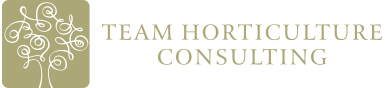 TH Consulting