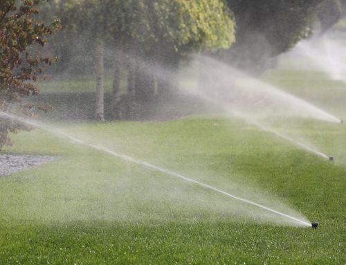 Why choose specialists for maintenance of irrigation systems