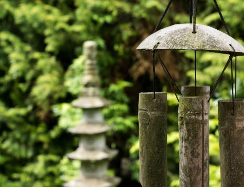 Feng Shui: 10 plants for your harmonious garden