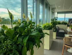 Интериор Карго партнерс