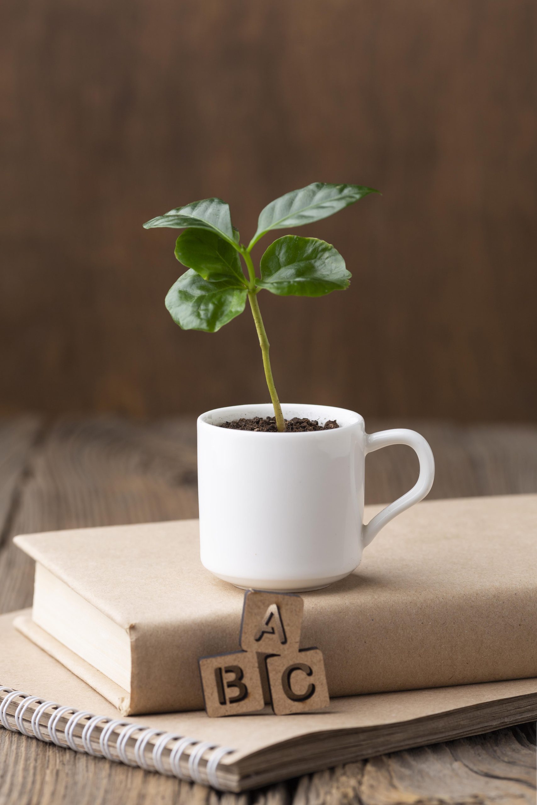 potted plant book arrangement potted plant book arrangement